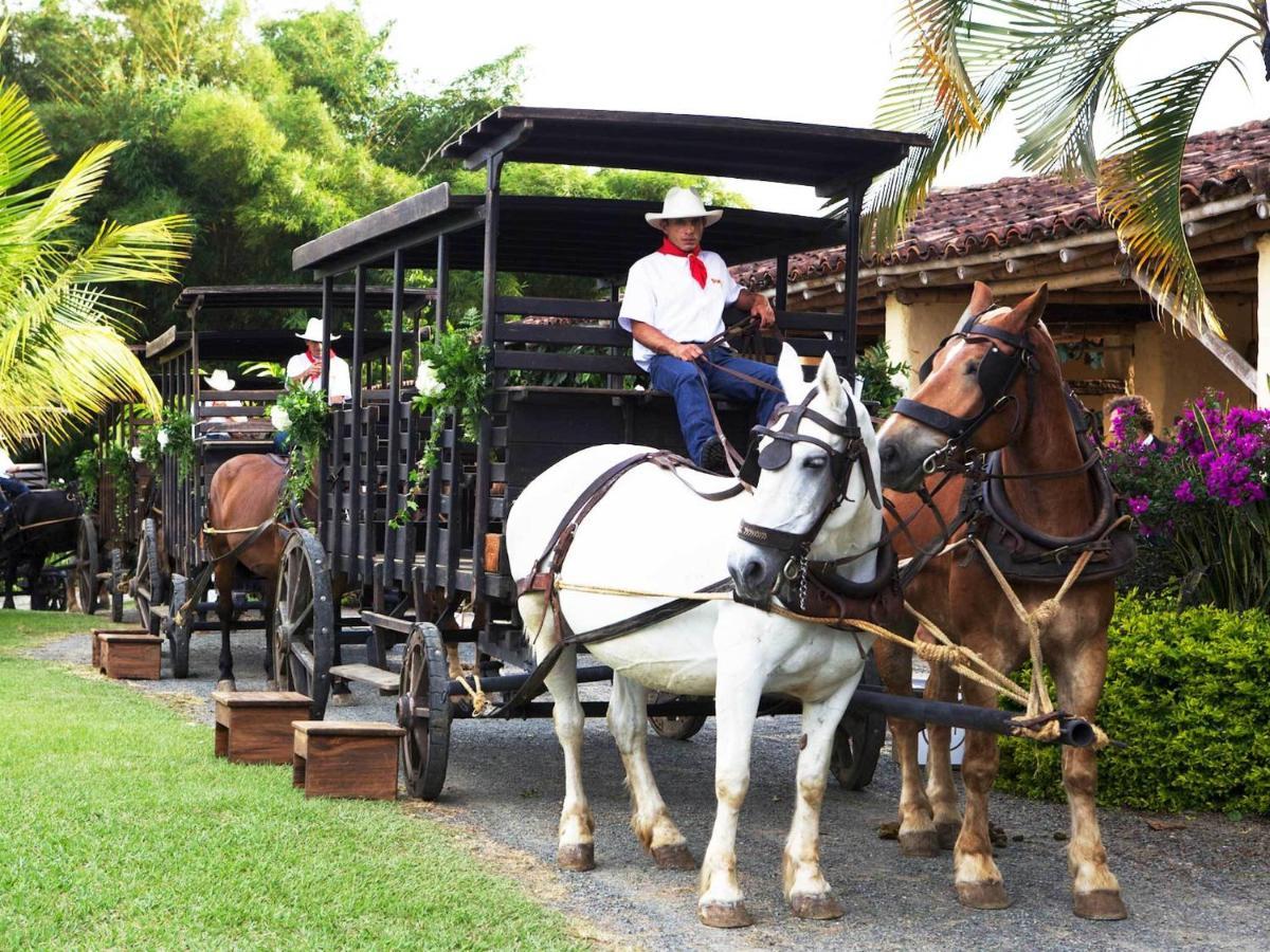 Decameron Panaca Quimbaya Ngoại thất bức ảnh